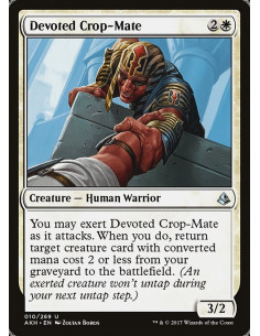 Devoted Crop-Mate - Foil