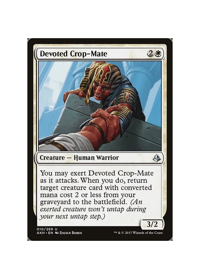 Devoted Crop-Mate - Foil