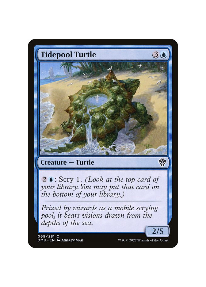 Tidepool Turtle