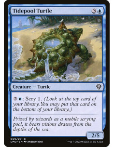 Tidepool Turtle - Foil