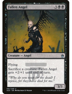 Fallen Angel