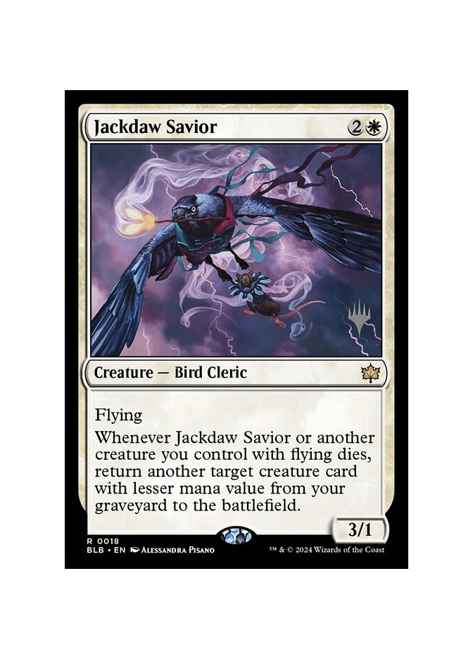Jackdaw Savior
