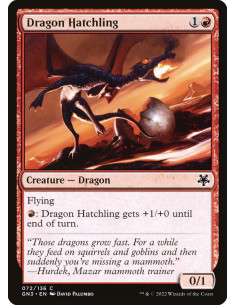 Dragon Hatchling