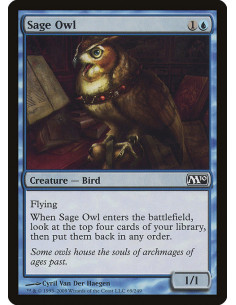 Sage Owl