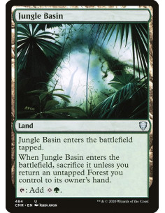 Jungle Basin