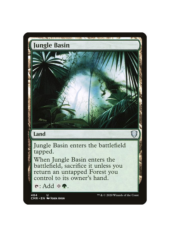 Jungle Basin