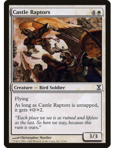 Castle Raptors