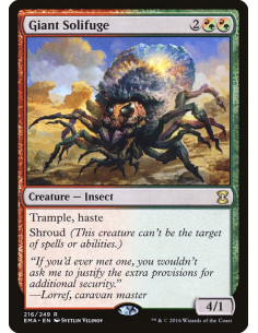 Giant Solifuge