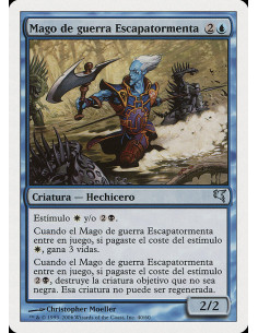 Stormscape Battlemage