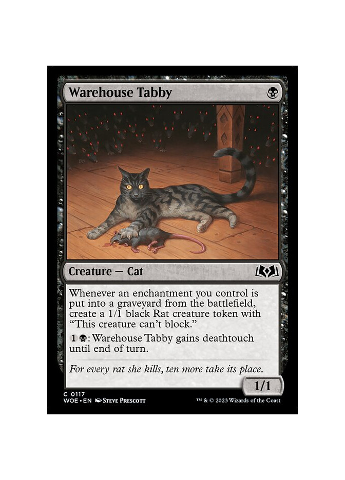 Warehouse Tabby
