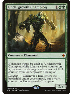 Undergrowth Champion