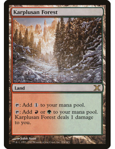 Karplusan Forest - Foil