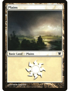 Plains - Foil