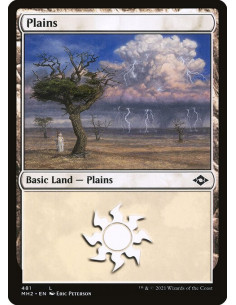 Plains