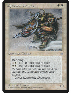 Kjeldoran Knight