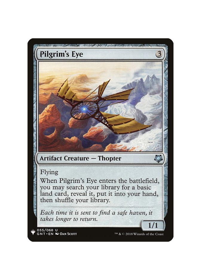 Pilgrim's Eye