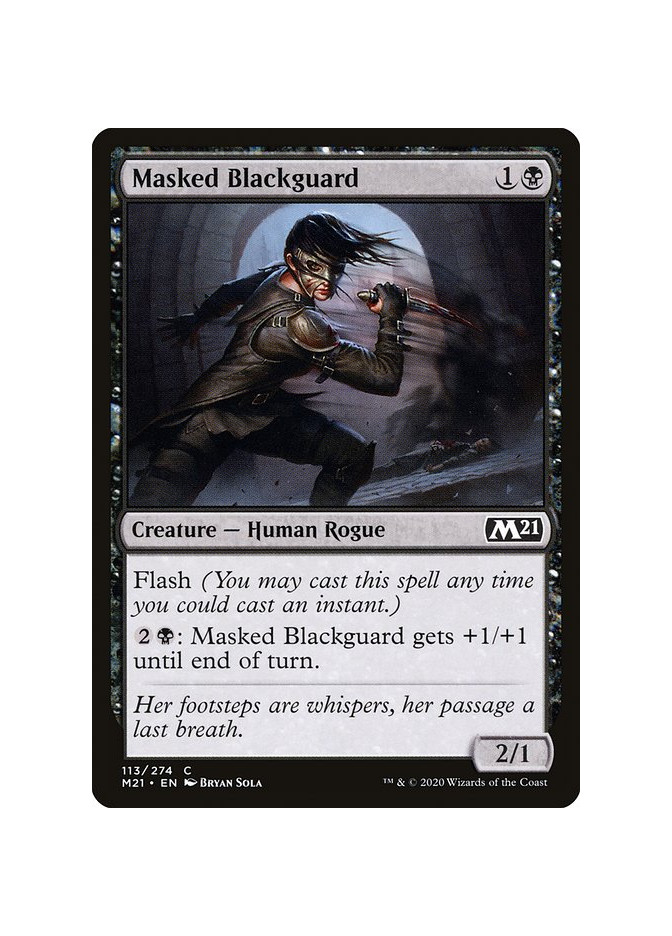 Masked Blackguard