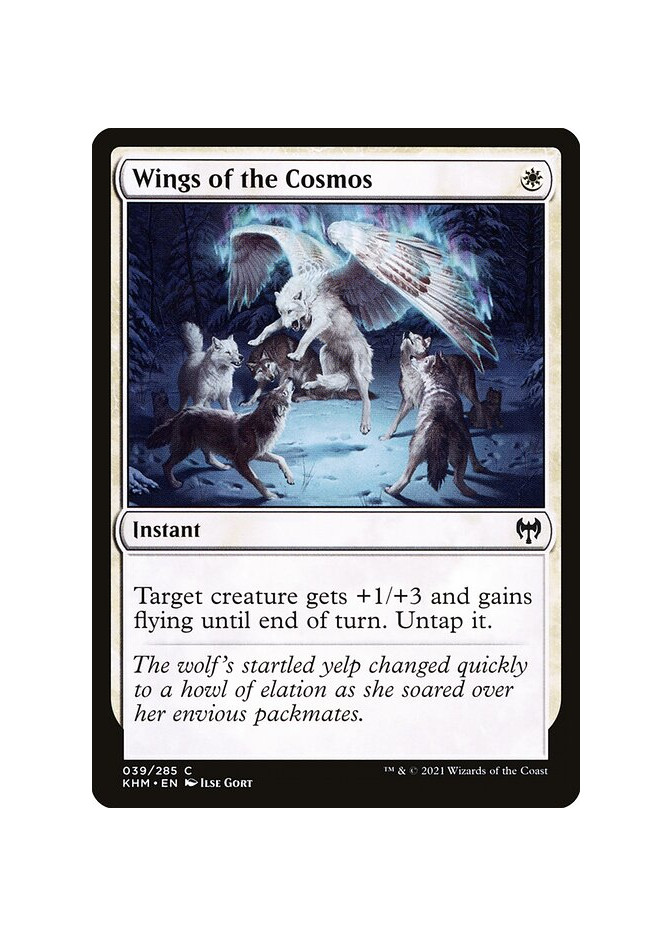 Wings of the Cosmos