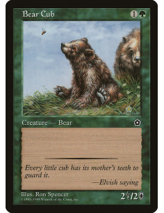 Bear Cub