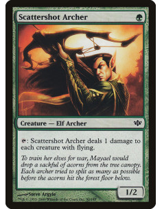 Scattershot Archer - Foil
