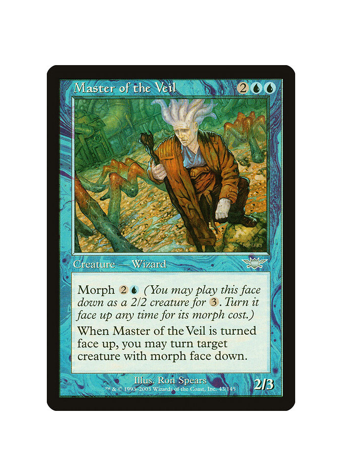 Master of the Veil