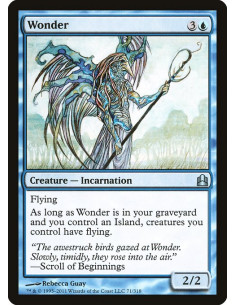 Wonder