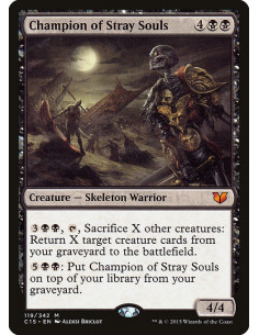 Champion of Stray Souls