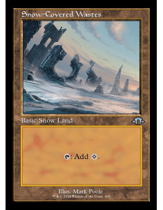 Snow-Covered Wastes - Foil