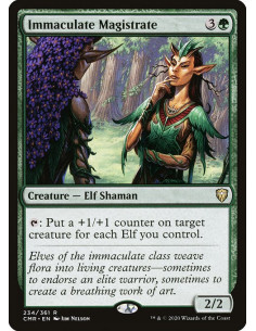 Immaculate Magistrate