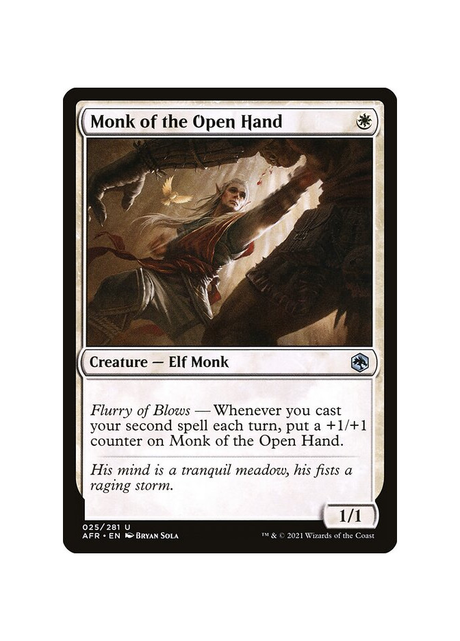 Monk of the Open Hand