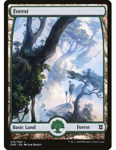 Forest - Foil