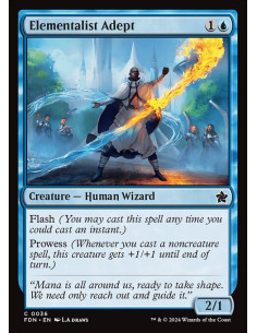 Elementalist Adept