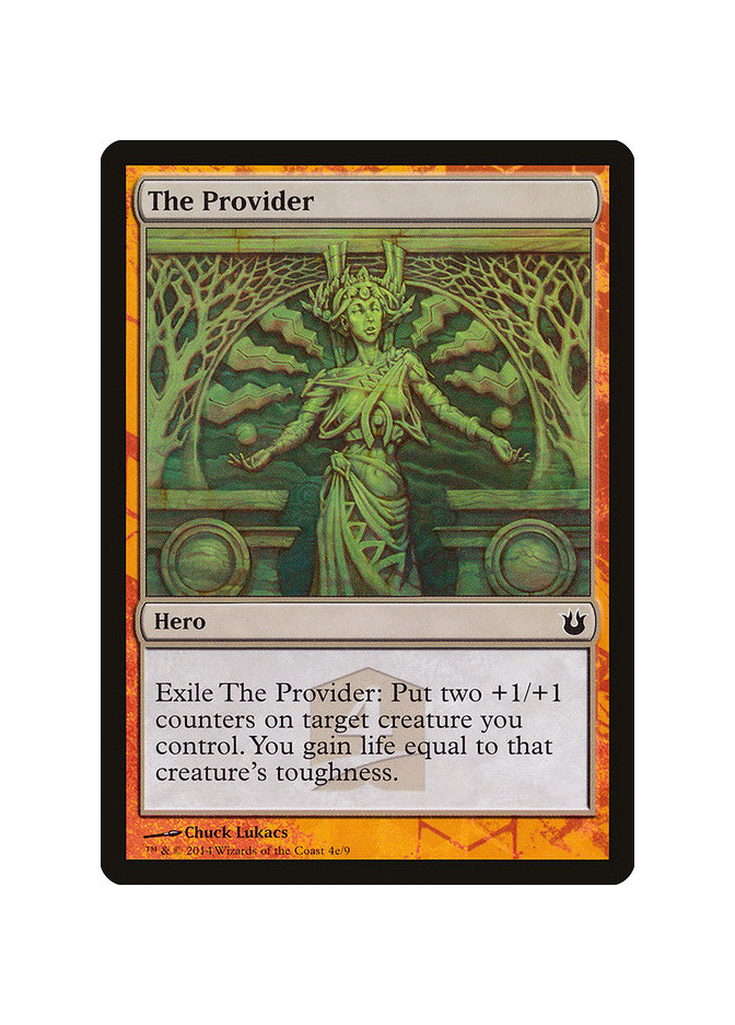 The Provider