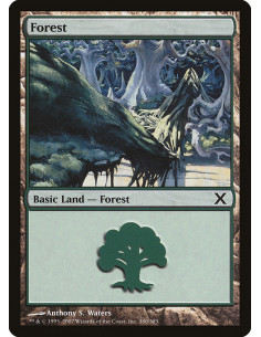 Forest - Foil