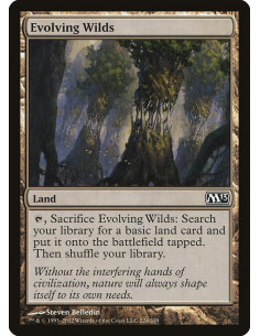 Evolving Wilds - Foil