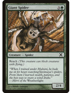 Giant Spider