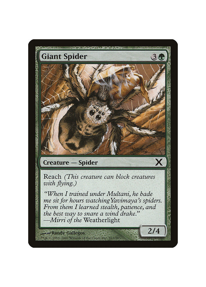 Giant Spider