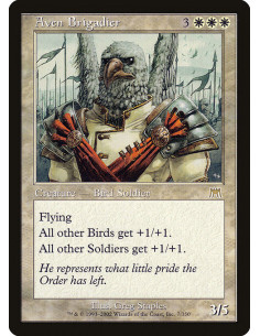 Aven Brigadier - Foil