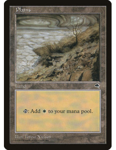 Plains