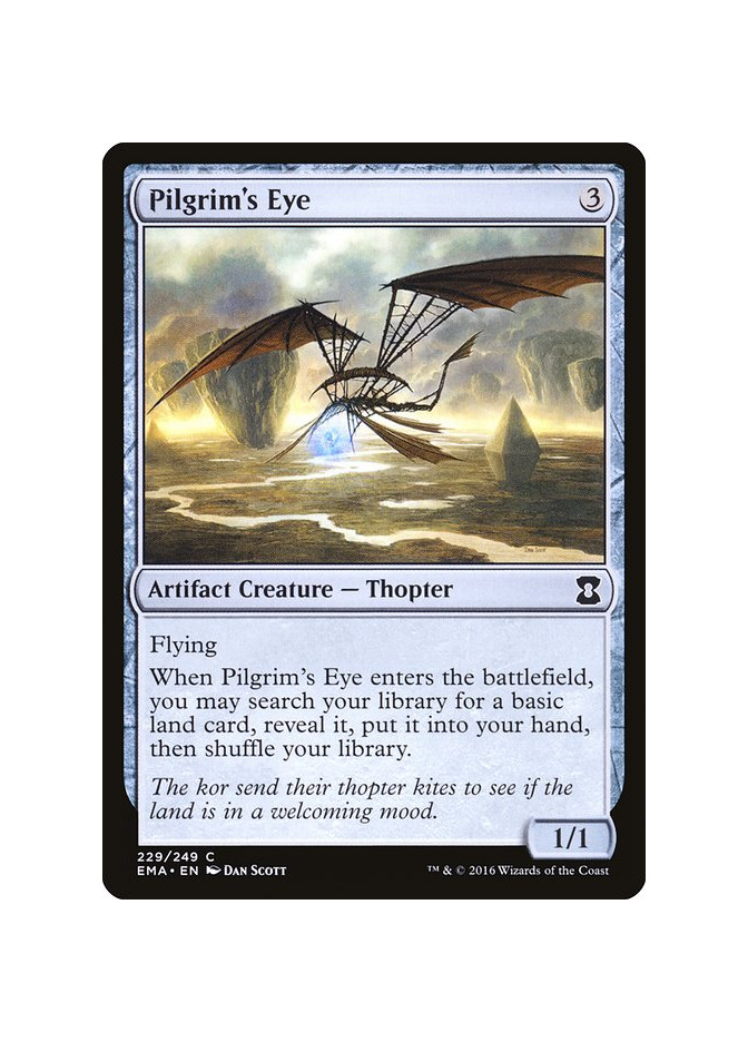Pilgrim's Eye