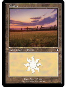 Plains - Foil