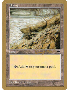Plains