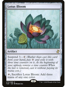 Lotus Bloom