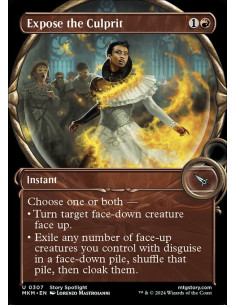 Expose the Culprit