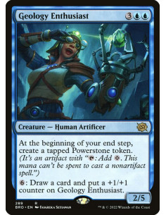 Geology Enthusiast - Foil