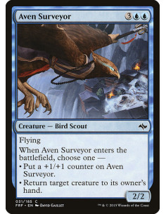 Aven Surveyor - Foil