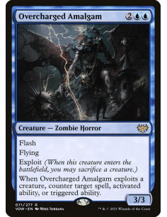 Overcharged Amalgam