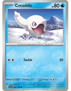 Cetoddle
