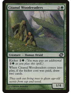 Citanul Woodreaders - Foil