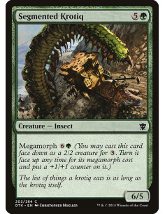 Segmented Krotiq - Foil